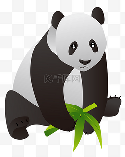 手绘卡通森林动物图片_矢量手绘卡通熊猫