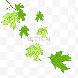 漂浮的树叶图片_手绘漂浮的绿色的梧桐树叶