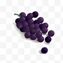 水果图片_农副产品之新鲜葡萄