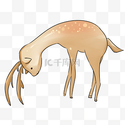 在低头的梅花鹿动物手绘插画