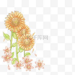 烂漫鲜花图片_手绘向日葵和波斯菊