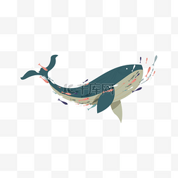 卡通哺乳动物图片_卡通海洋动物鲸鱼素材