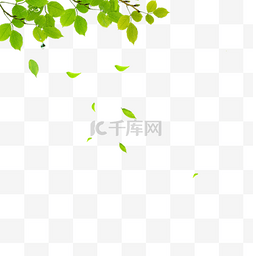植物清新绿色图片_小清新绿色叶子边框