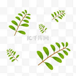 叶子绿色植物