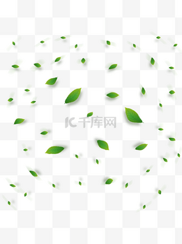 植物树叶叶子漂浮气氛电商装饰免抠可商用
