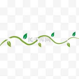 绿色藤蔓叶子矢量图
