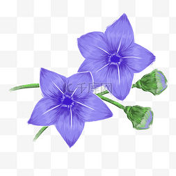 紫色的花朵图片图片_紫色的花朵免抠图