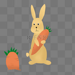 抱着胡萝卜的小兔子