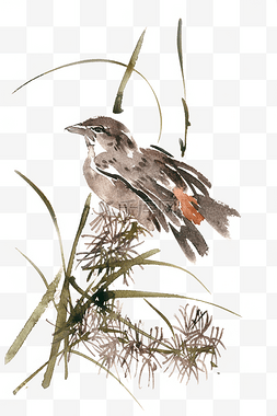 透明小鸟图片_孤单的小鸟水彩画PNG免抠素材
