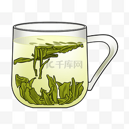 新茶上市图片_明前新鲜龙井绿茶
