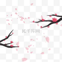 中国风手绘花瓣飘落