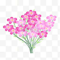 粉色的漂亮花束插画