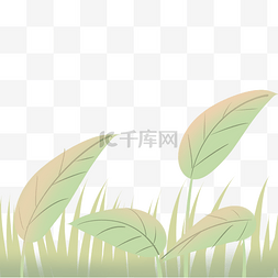 大片叶子草原