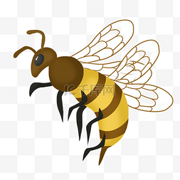 仿真蜜蜂免抠PNG素材