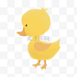 一只可爱的小黄鸭免抠图