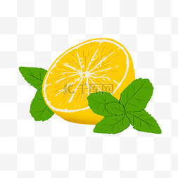 清凉夏天绿色图片_黄色手绘切开的水果柠檬免扣卡通