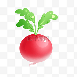 红袍萝卜图片_卡通萝卜蔬菜