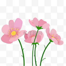 盛开的粉色花朵图片_盛开的粉色花朵快乐