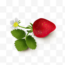 暑假手绘草莓花朵和叶子