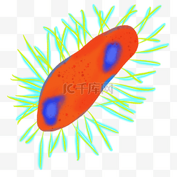 红色毛毛虫卡通图片_毛虫形状细菌插画