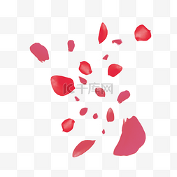 大红色的花瓣手绘插画