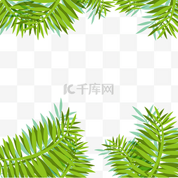热带植物叶子背景图片_绿色叶子热带植物