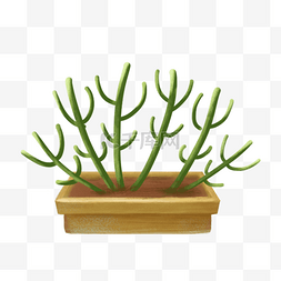绿色植物盆栽插画