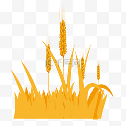 农民收割图片_矢量图金黄色小麦