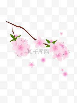 桃花春天粉色手绘元素可商用
