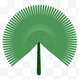 热带植物图片_扇形叶子矢量素材图