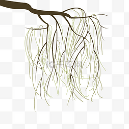 手绘卡通树枝树叶图片_曲线简约手绘扁平柳树