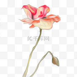 植物花卉图片_手绘水彩创意植物插画