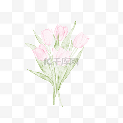 手绘水彩女生图片_手绘水彩粉色康乃馨花束