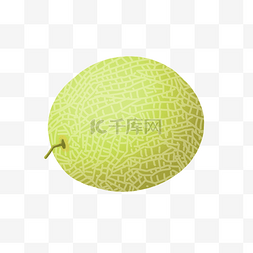 水果哈密瓜