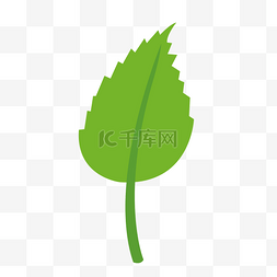 热带植物图片_卡通绿色棕榈叶图