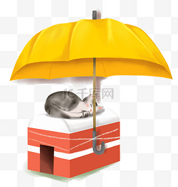 熟睡打伞的猫咪
