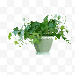 植物盆栽手绘图片_手绘植物盆栽插画