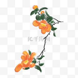 橙色花朵手绘图片_卡通橙色鲜花插画