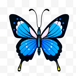 手绘的昆虫图片_卡通手绘可爱蝴蝶彩色蝴蝶