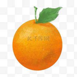 桔子橘色橘黄圆形