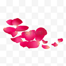 飞花图片_植物漂浮玫瑰花瓣插图