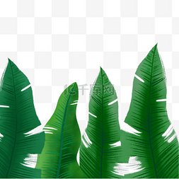 手绘插画风热带森林树叶png免抠图