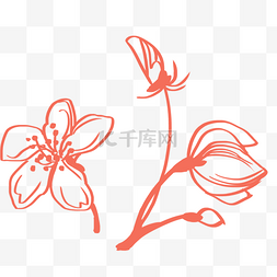 手绘桃花图片_矢量线描桃花花枝花瓣素材