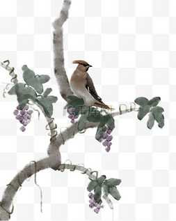 紫色叶子和葡萄图片_手绘鸟和葡萄树插画