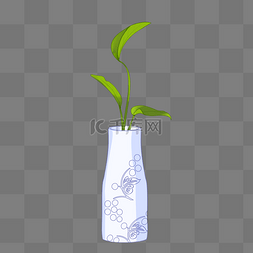 植物插瓶图片_手绘植物插瓶插画