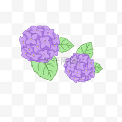 紫色绣球花PNG