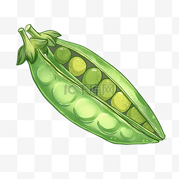 一个豆子图片_手绘蔬菜豌豆荚插画
