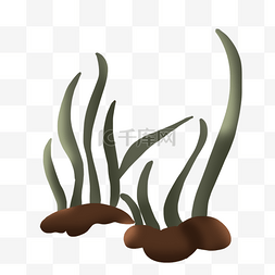 海底植物植物图片_绿色简约海草植物