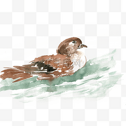 透明小鸟图片_游泳的鸟水彩画PNG免抠素材