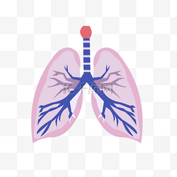 矢量肺部图片_手绘人体器官肺矢量免抠素材